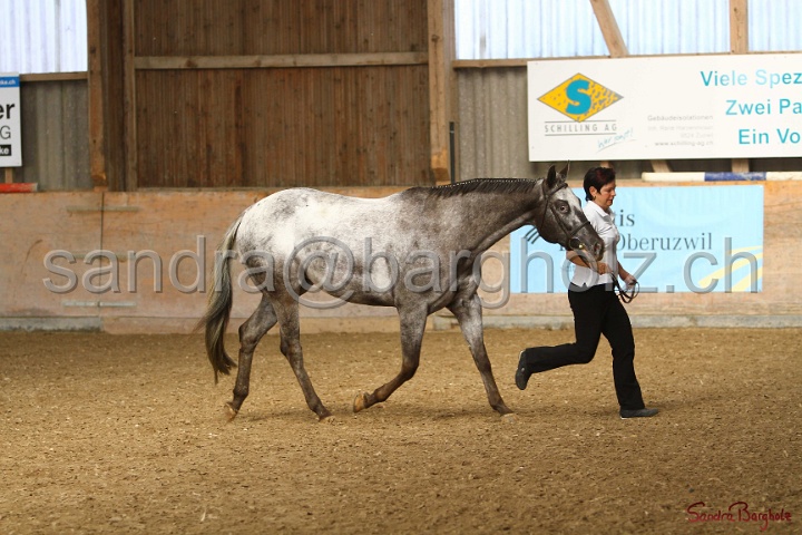 24-ApHC HIH_039.jpg